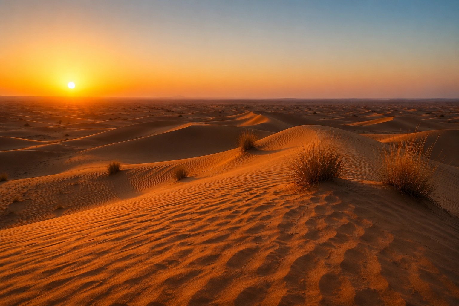 Off the beaten path Thar Desert jeep safari